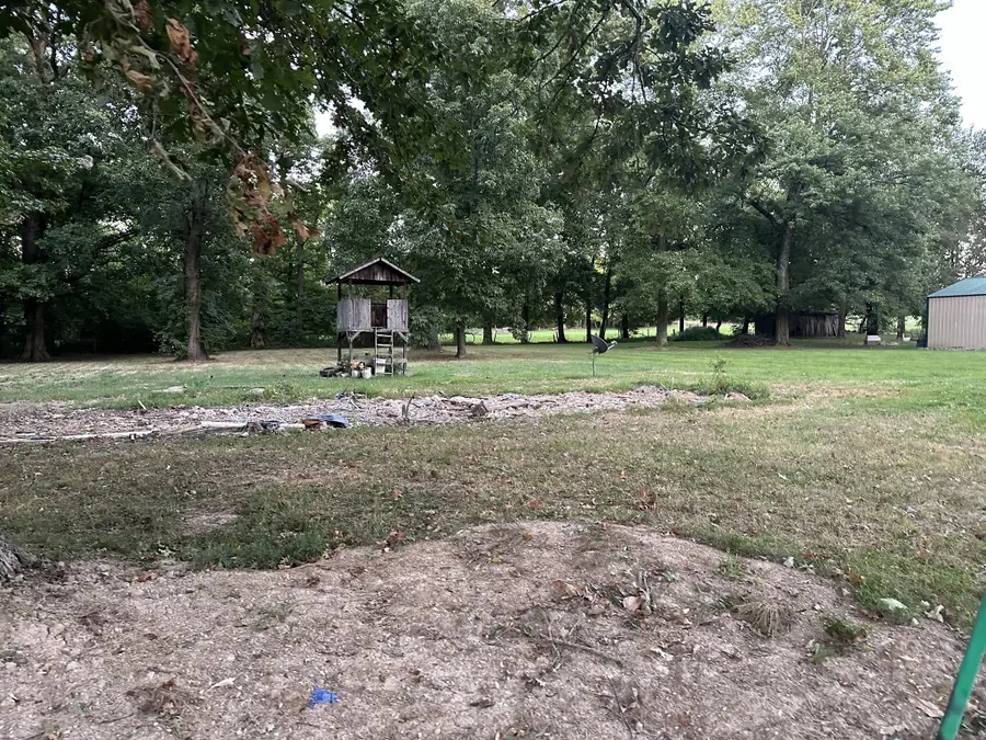 113 Morningside Dr, Portland, TN 37148 - #3