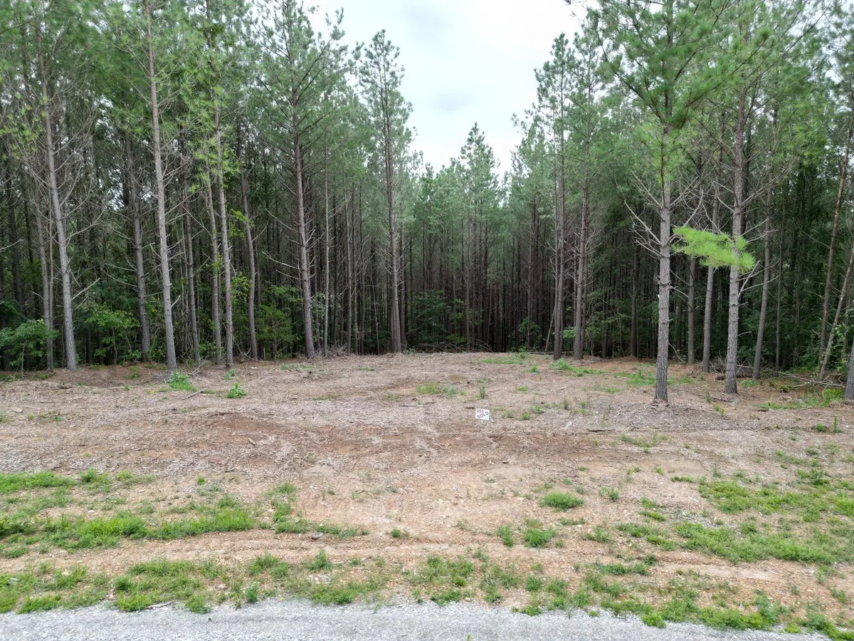297 Ashwood Dr, Linden, TN 37096 - #1