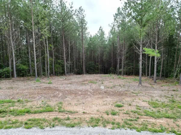 297 Ashwood Dr, Linden, TN 37096