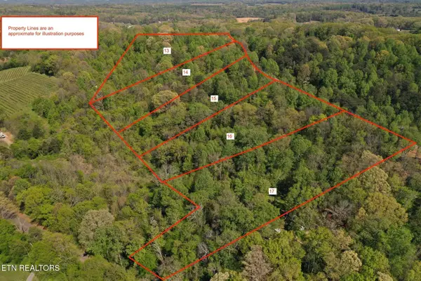 0 Elm Lane, Niota, TN 37826