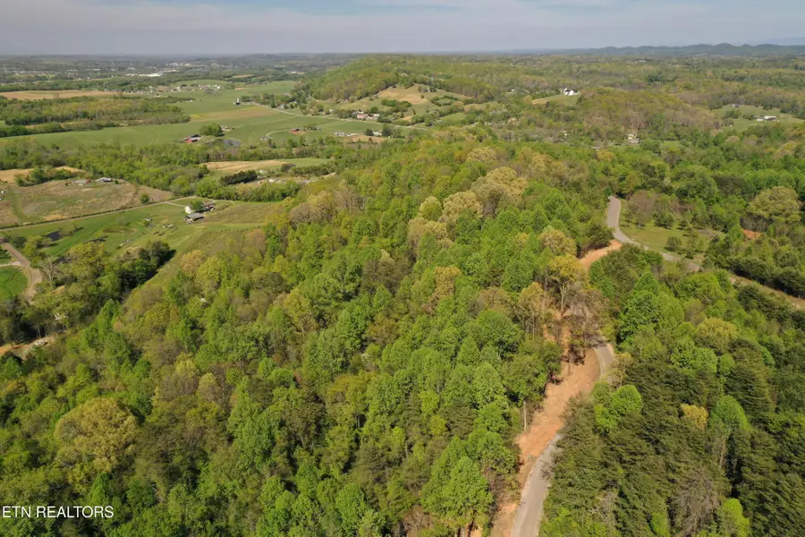 0 Elm Lane, Niota, TN 37826 - #3