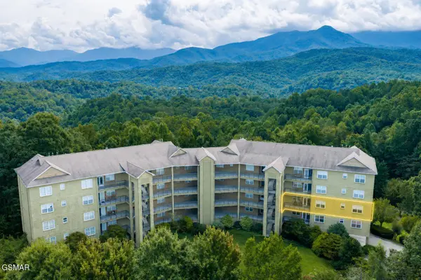338 Pinnacle View Way #134, Gatlinburg, TN 37738