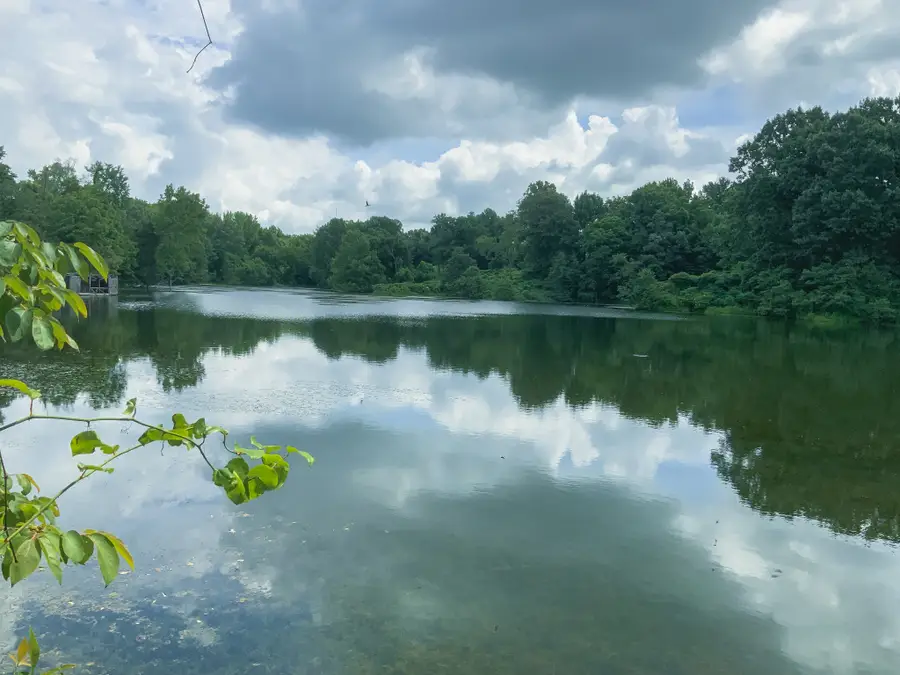 0 Call Road, Obion, TN 38240 - #3