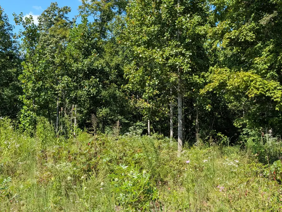 331 Ridgetop Rd, Hampshire, TN 38461 - #2