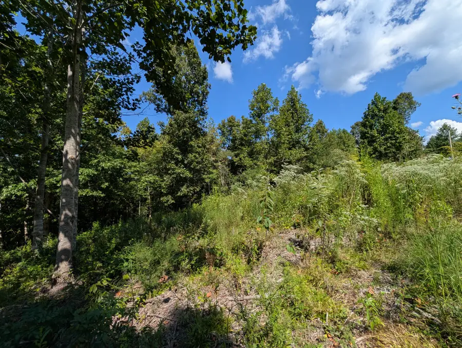 331 Ridgetop Rd, Hampshire, TN 38461 - #3