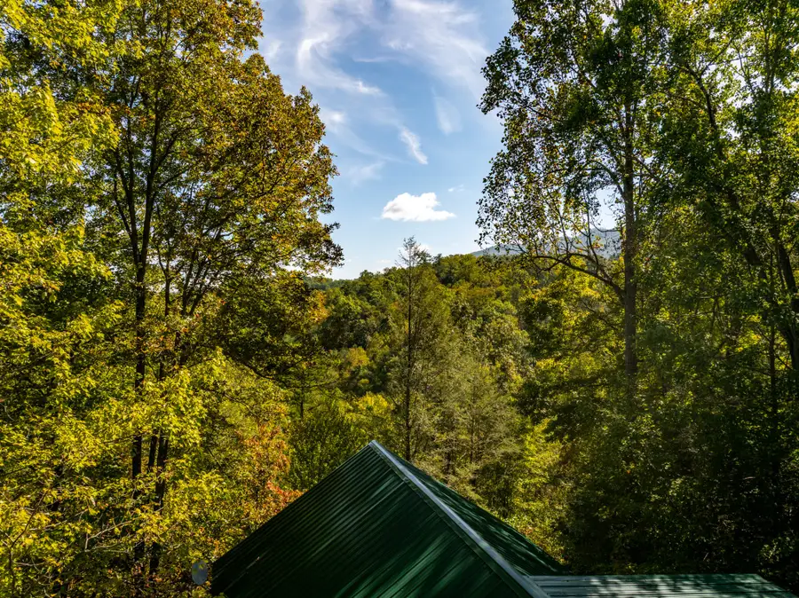 4154 Evans Chapel Rd, Sevierville, TN 37876 - #3