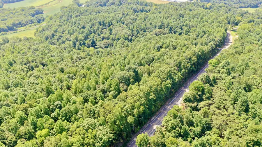 7721 Wayland Springs Rd, Iron City, TN 38463 - #3