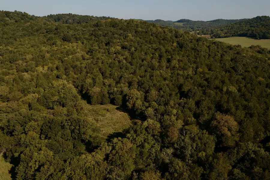 146 Bledsoe Rd, Petersburg, TN 37144 - #2