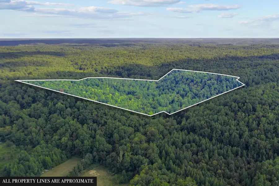 107 Possum Trot Ln, Linden, TN 37096 - #2