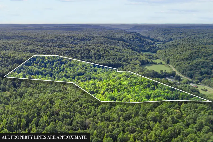 107 Possum Trot Ln, Linden, TN 37096 - #3