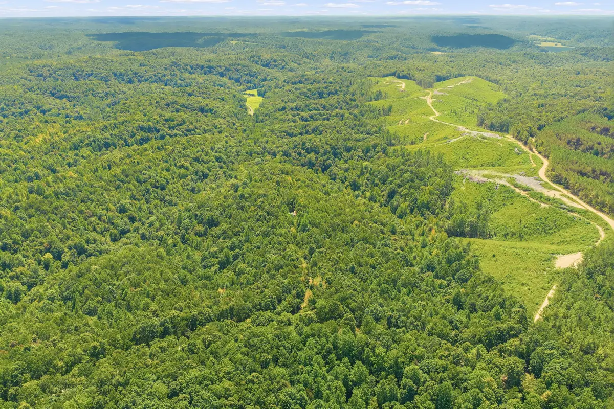 0 Scott Ridge Rd, Waynesboro, TN 38485 - #1