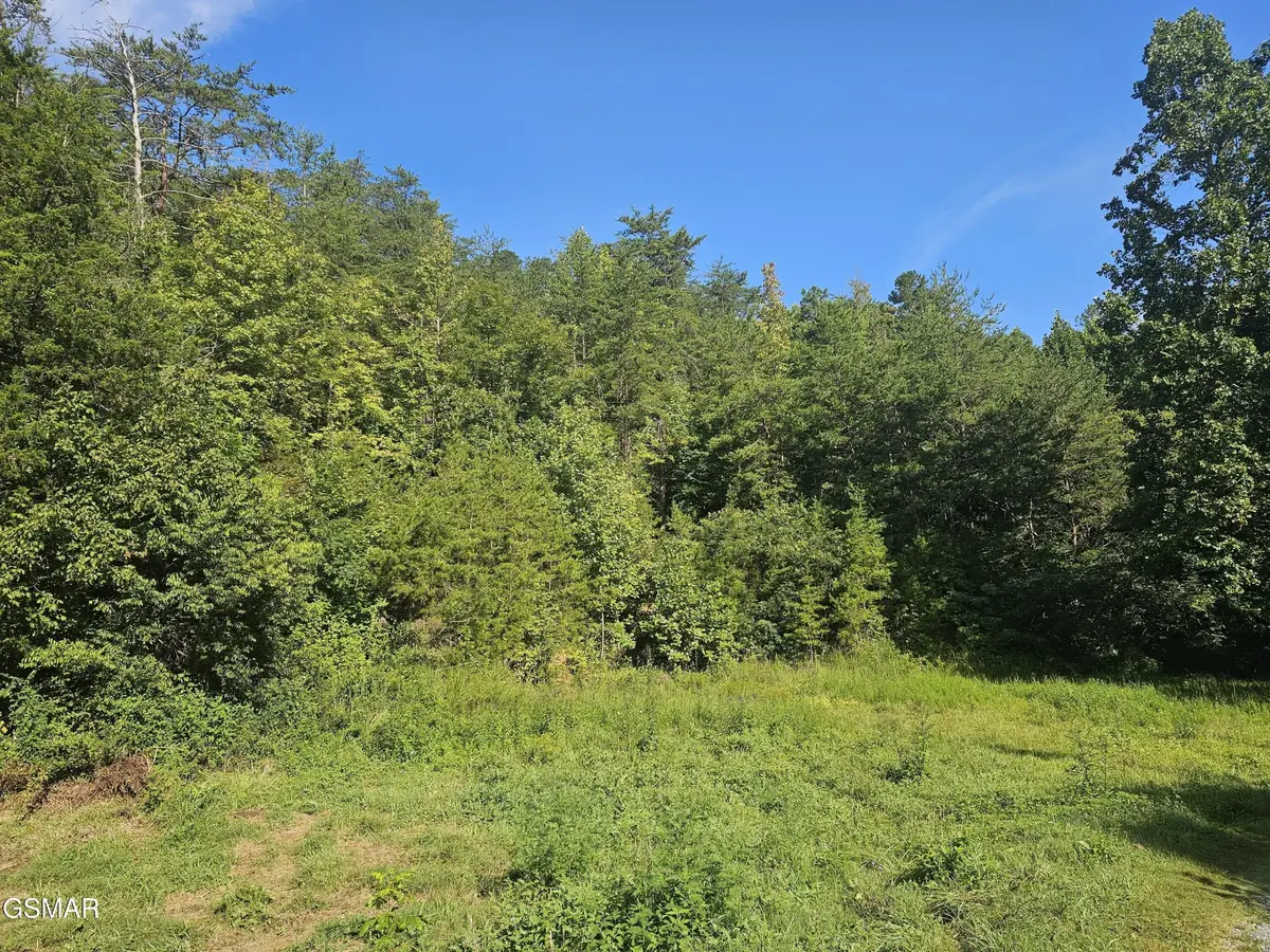 3 Franklin Way, Sevierville, TN 37862 - #1