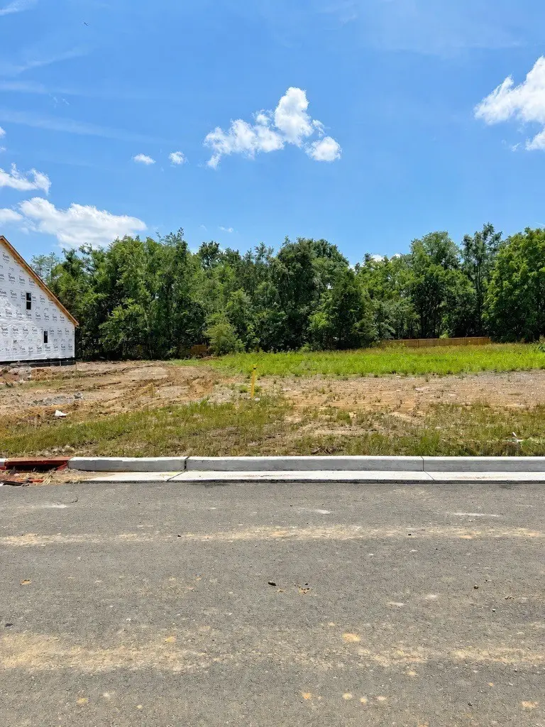 106 Cedarstone Drive, Mount Juliet, TN 37122 - #2