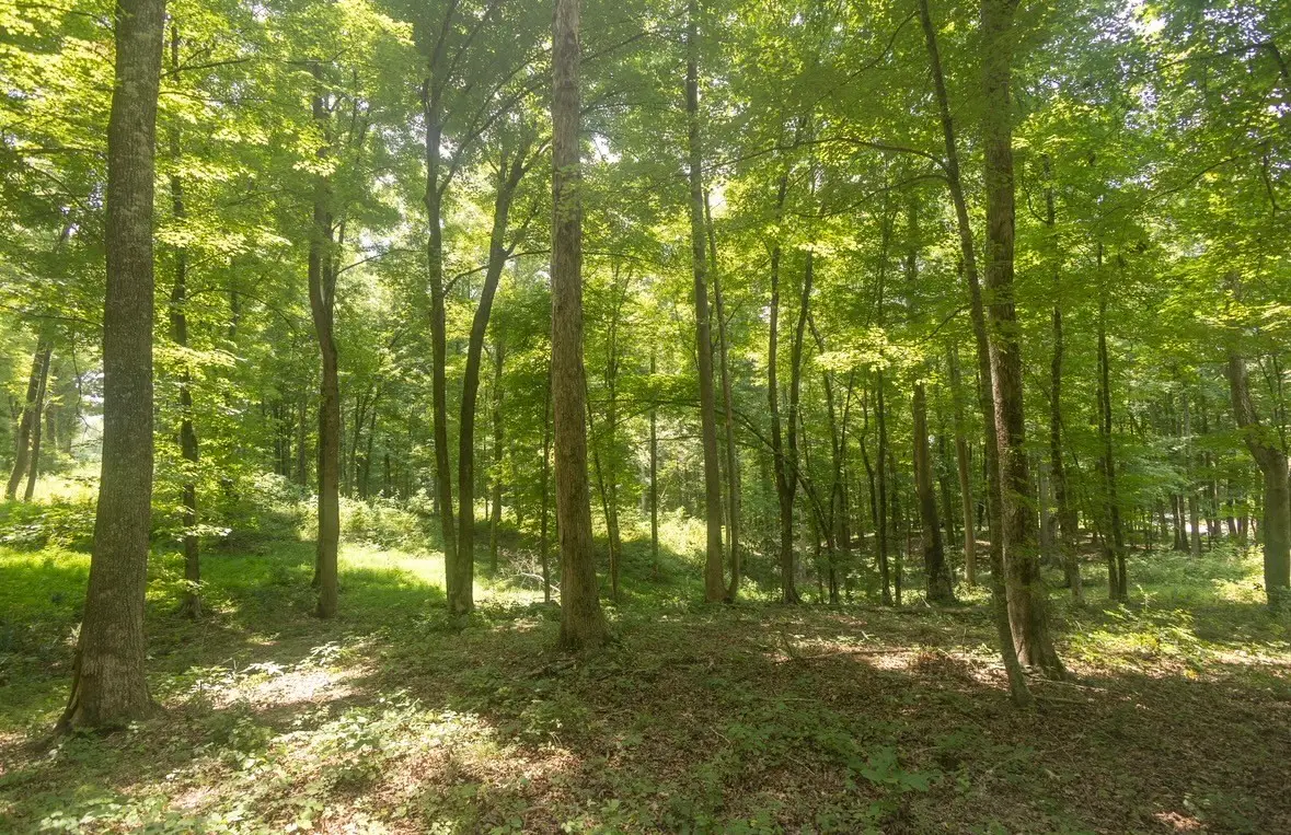 123 County Road 5, Calhoun, TN 37309 - #1