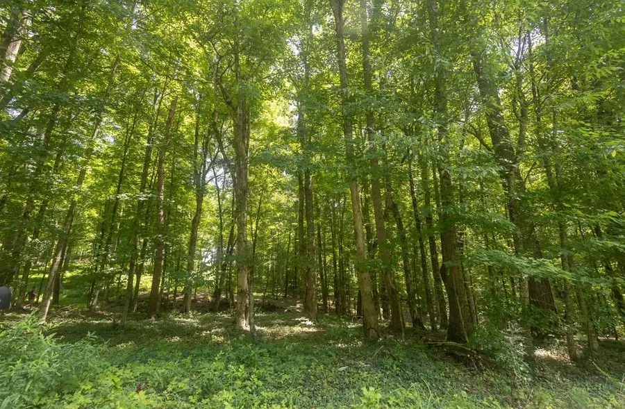 123 County Road 5, Calhoun, TN 37309 - #3