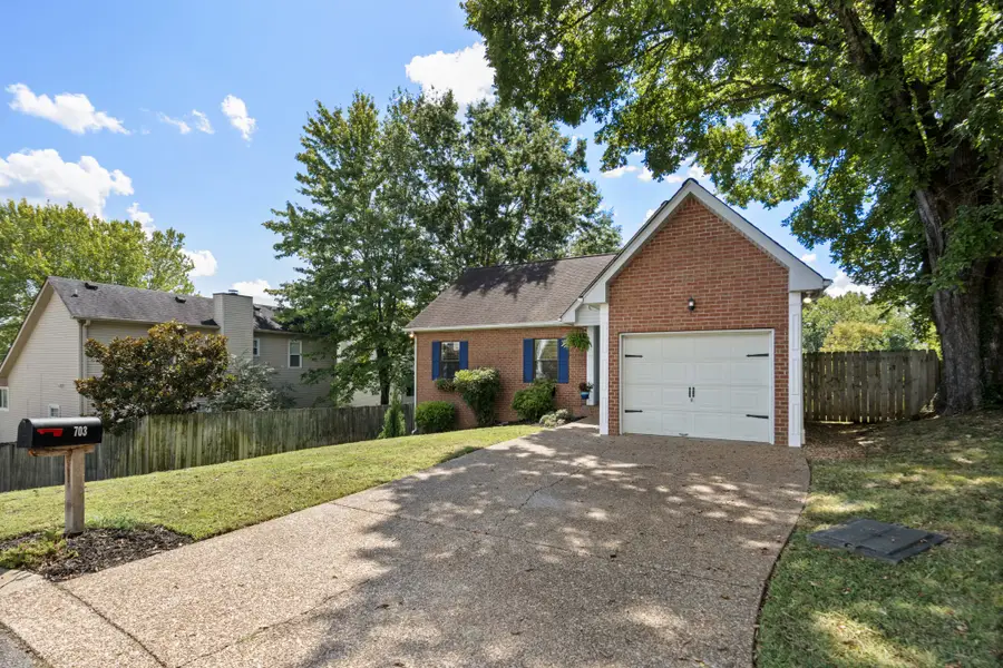 703 Dove Valley Ct, Nashville, TN 37221 - #3