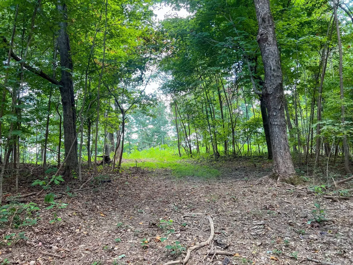 7659 Burks Rd, Christiana, TN 37037 - #1