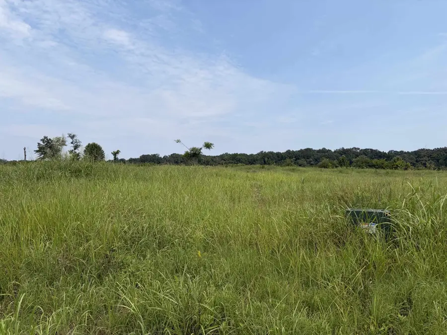 75 Cravens Rd, Savannah, TN 38372 - #2