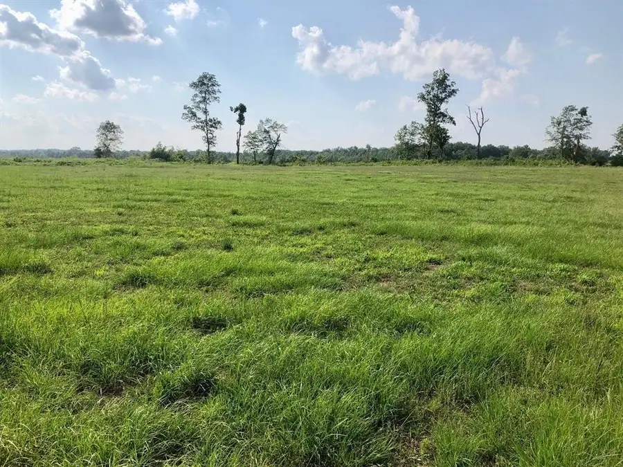 64 Cravens Rd, Savannah, TN 38372 - #3