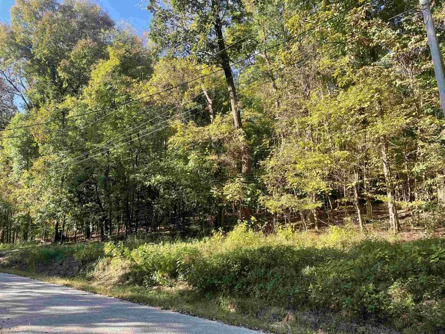 0 Crow Ln, Bath Springs, TN 38311 - #3