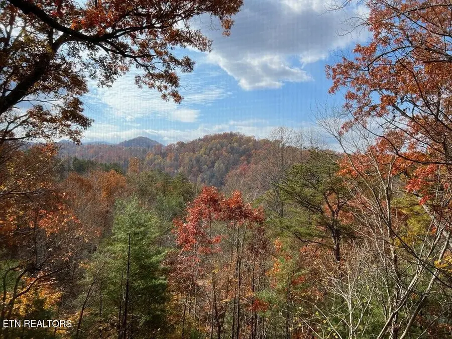 419 Sassafras Tr, Pigeon Forge, TN 37876 - #3