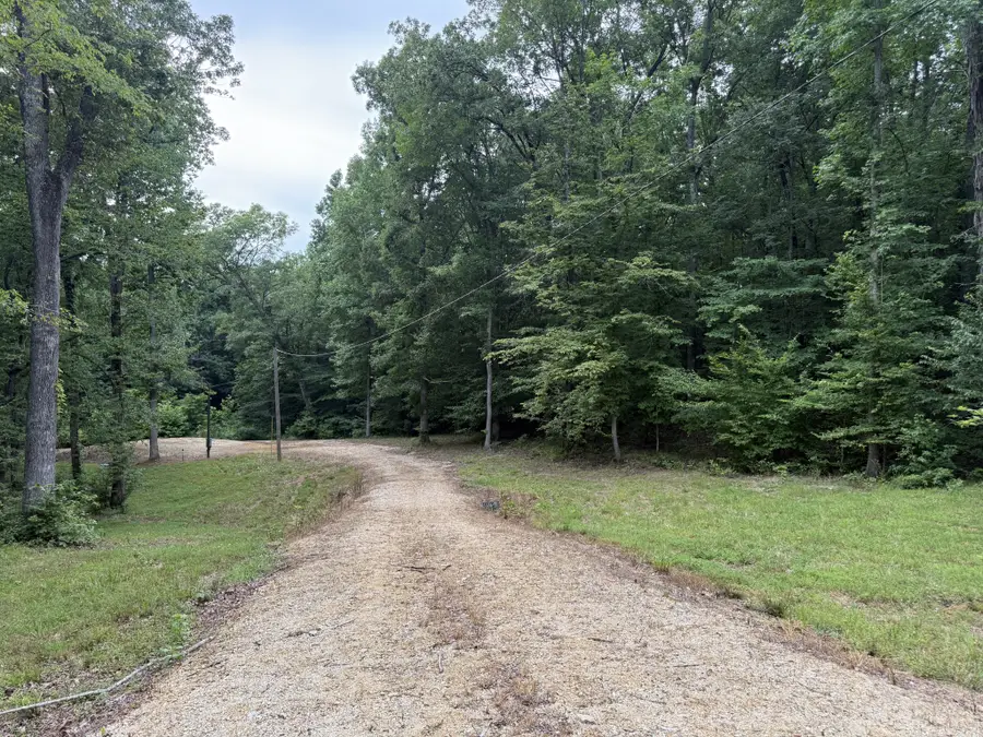 954 Stokes Ln, Bath Springs, TN 38311 - #3
