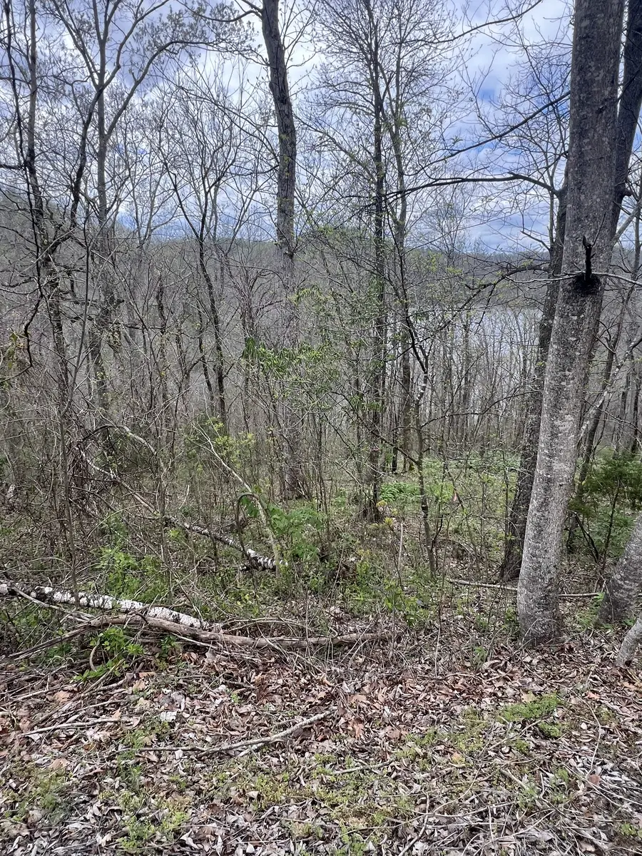 132 Lakeview Dr, Smithville, TN 37166 - #2