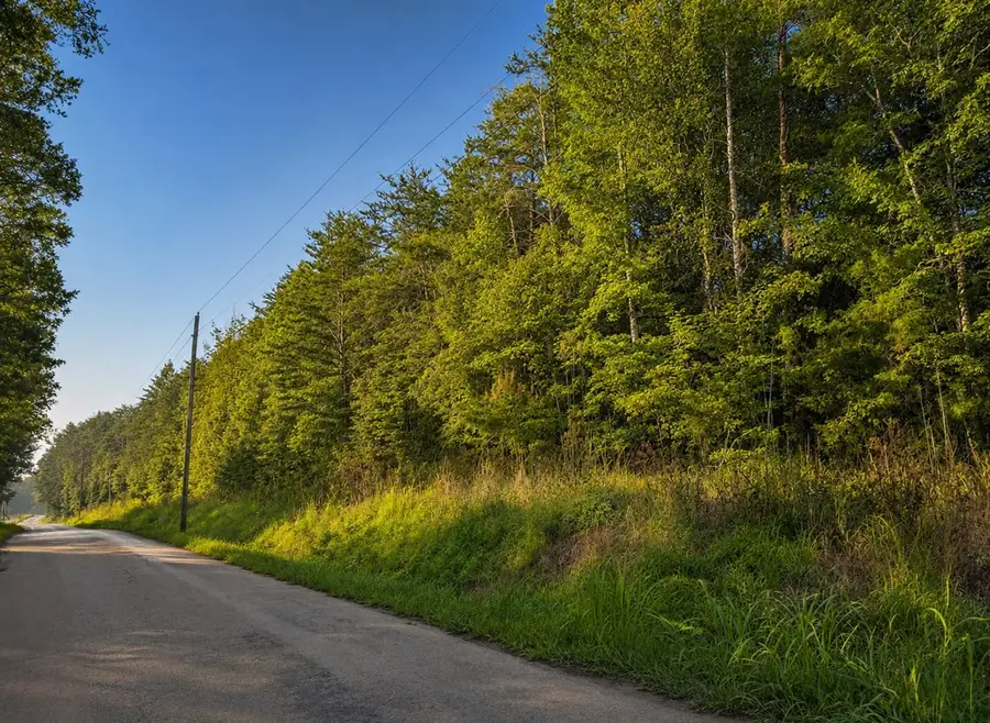 0 Three Point Rd, Tellico Plains, TN 37385 - #2