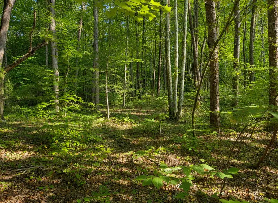 0 Three Point Rd, Tellico Plains, TN 37385 - #3