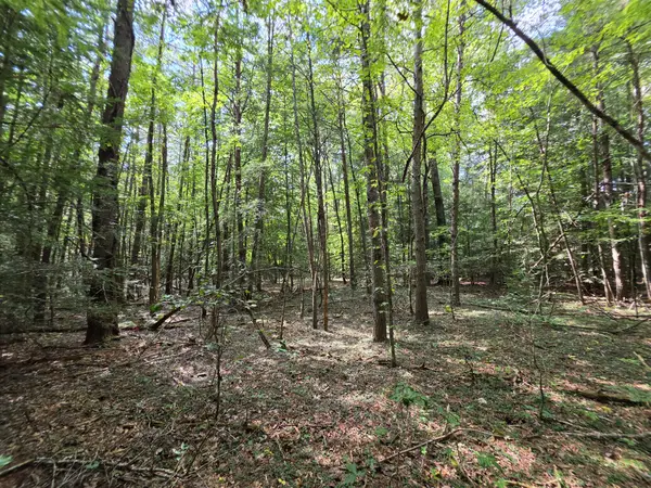 0 Northcutts Cove Road, Beersheba Springs, TN 37305
