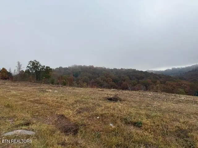 65 Pinnacle Lane, La Follette, TN 37766 - #3