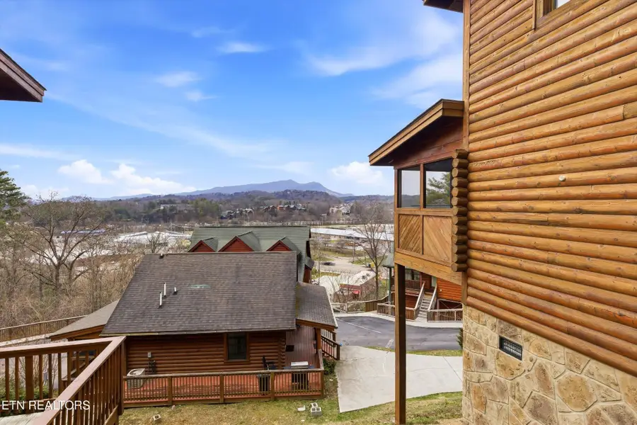 423 Big Bear Way, Pigeon Forge, TN 37863 - #3