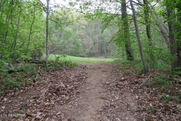250 Mountain Side Lane, Rocky Top, TN 37769