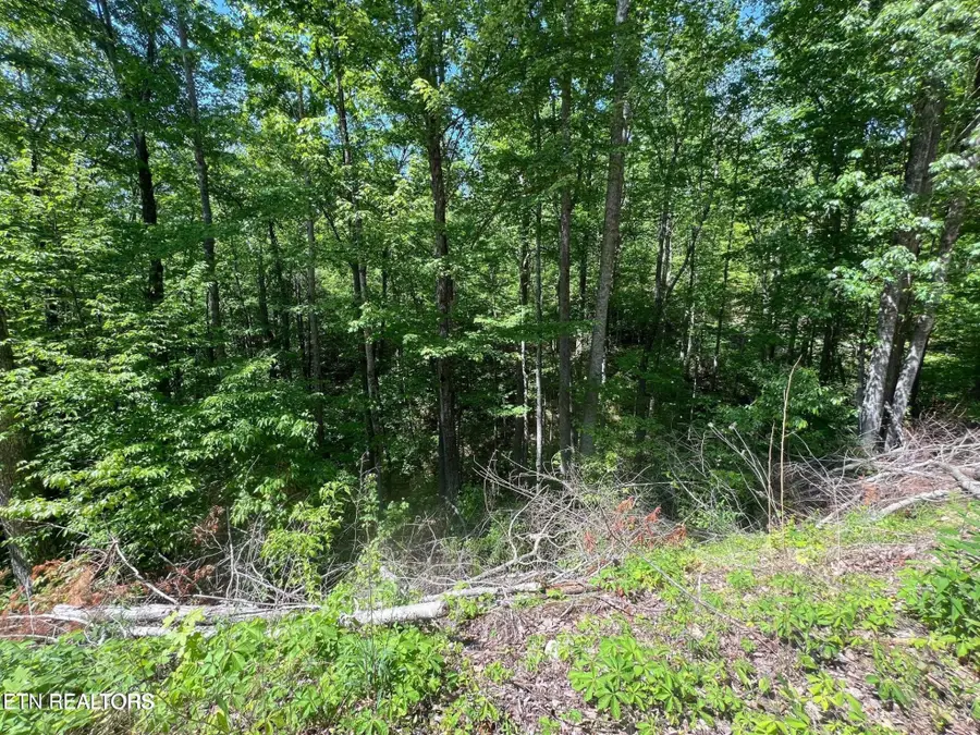 55 Butternut Lane, Sevierville, TN 37876 - #2