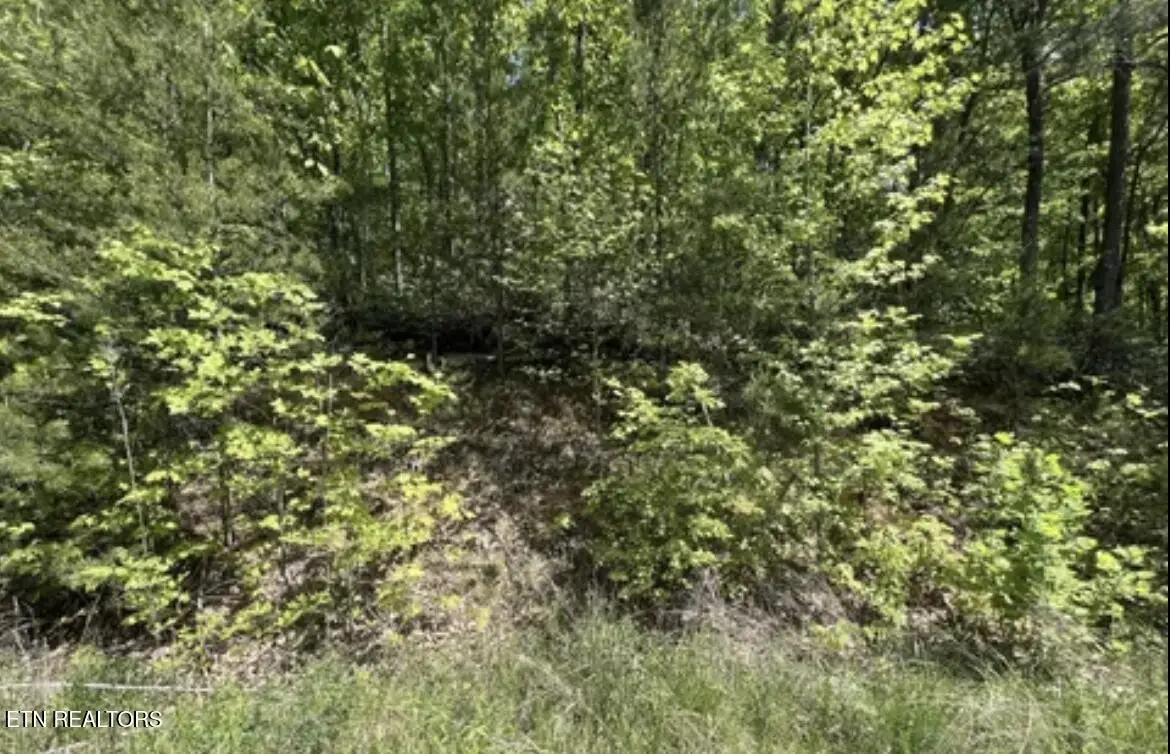 23 Green Meadows Dr, Sevierville, TN 37876 - #1