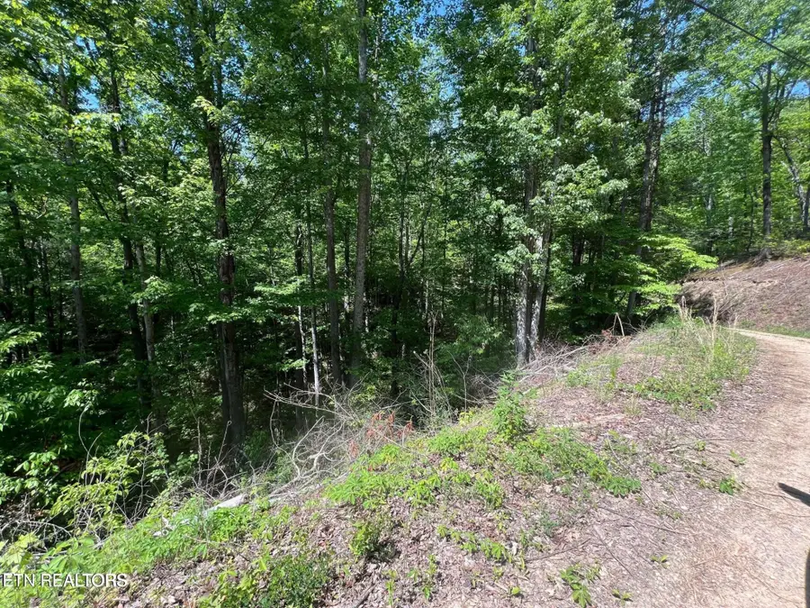 26 Black Oak Pl, Sevierville, TN 37876 - #2