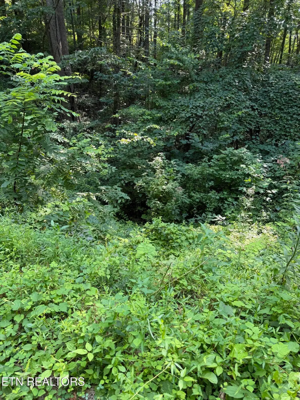 0 Butternut Lane, Sevierville, TN 37876 - #1