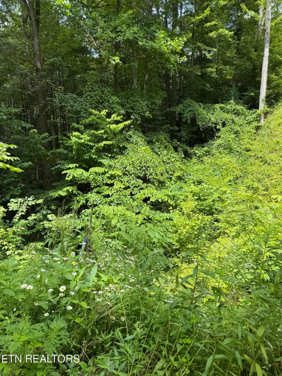 0 Butternut Lane, Sevierville, TN 37876 - #2