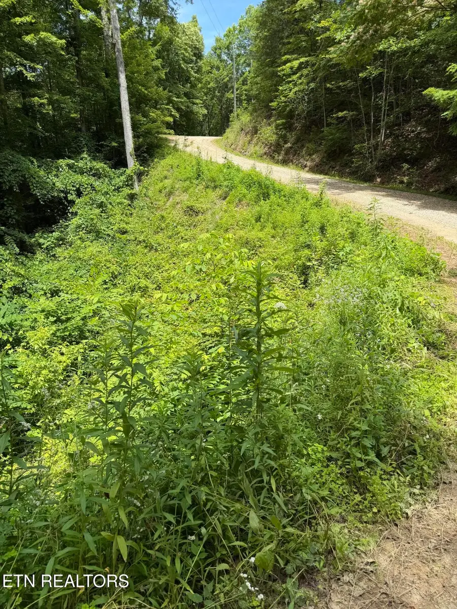 0 Butternut Lane, Sevierville, TN 37876 - #3