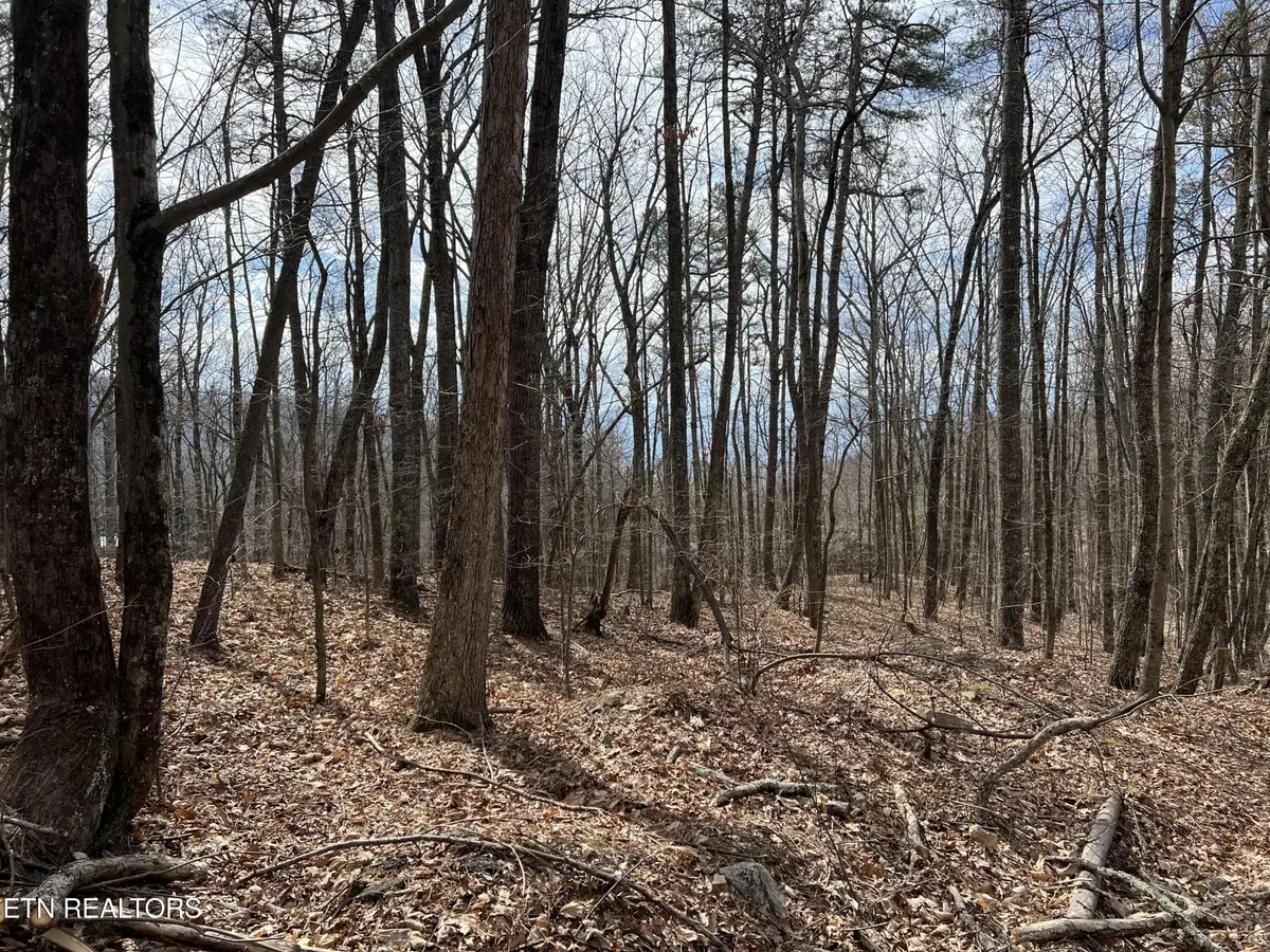 0 Swann Saddle, Sevierville, TN 37876 - #1