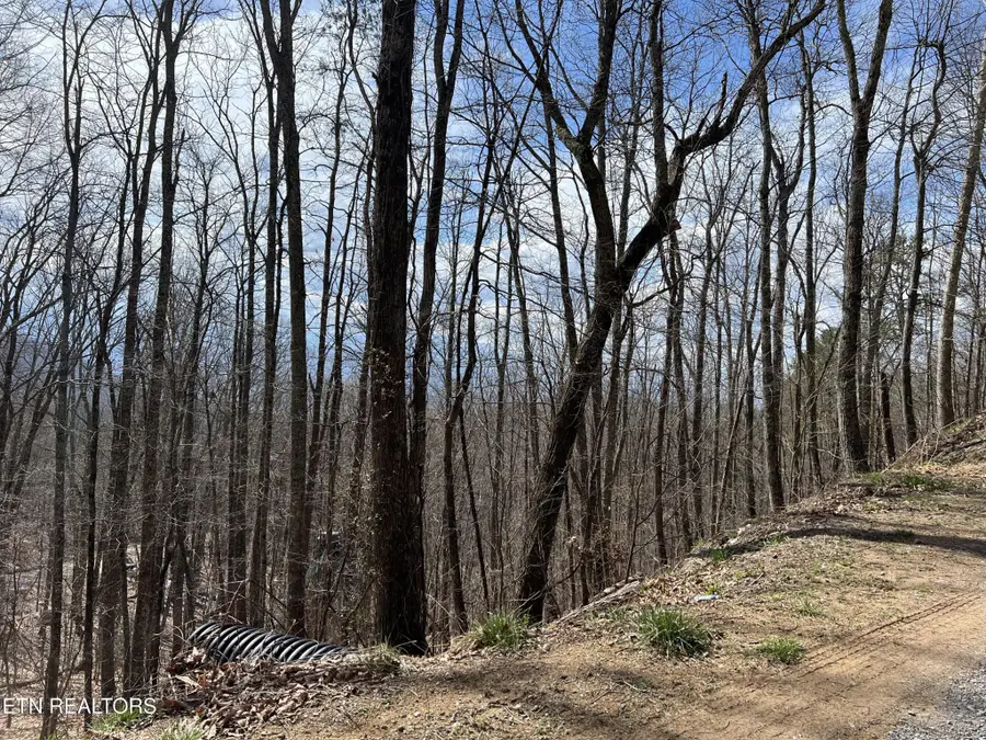 0 Clingmans View, Sevierville, TN 37876 - #3