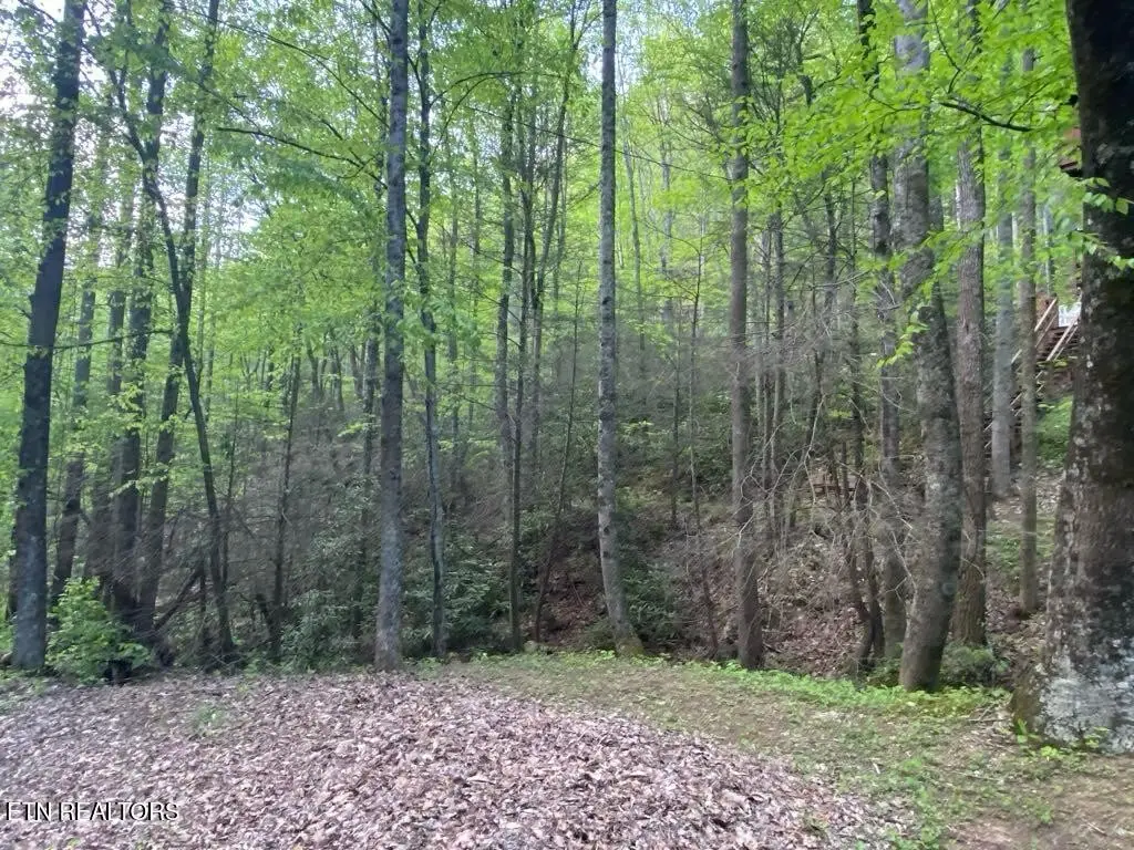 26 Alpine Drive, Sevierville, TN 37876 - #1