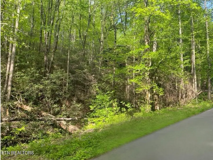 26 Alpine Drive, Sevierville, TN 37876 - #2
