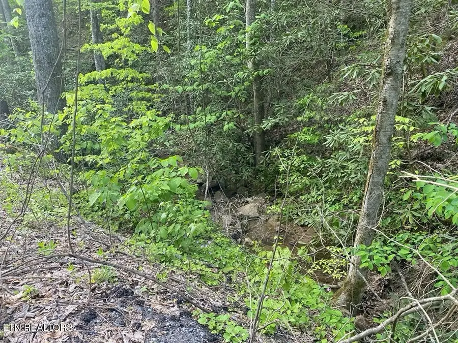 26 Alpine Drive, Sevierville, TN 37876 - #3