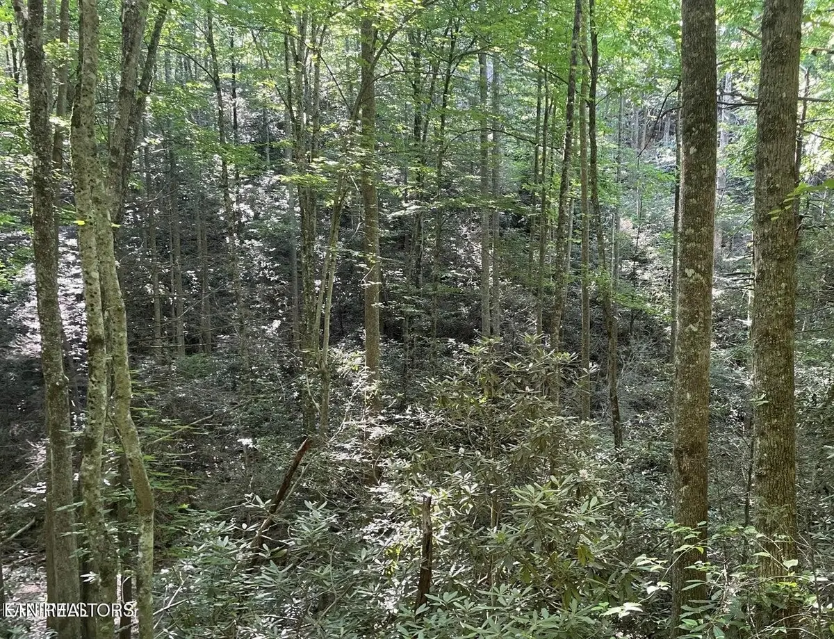 70 Hazelnut Lane, Sevierville, TN 37876 - #1