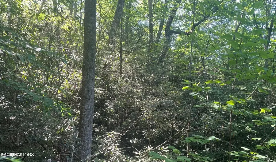 70 Hazelnut Lane, Sevierville, TN 37876 - #2