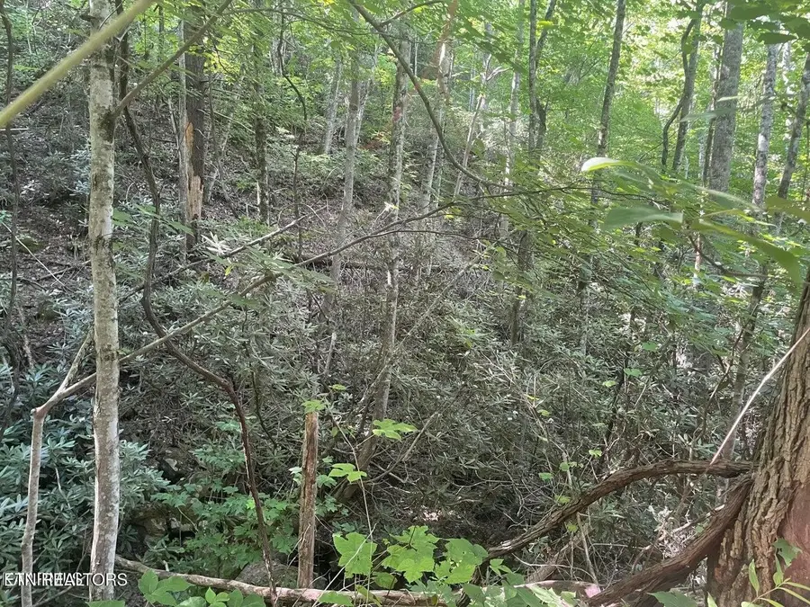 1 Sycamore St, Sevierville, TN 37876 - #3