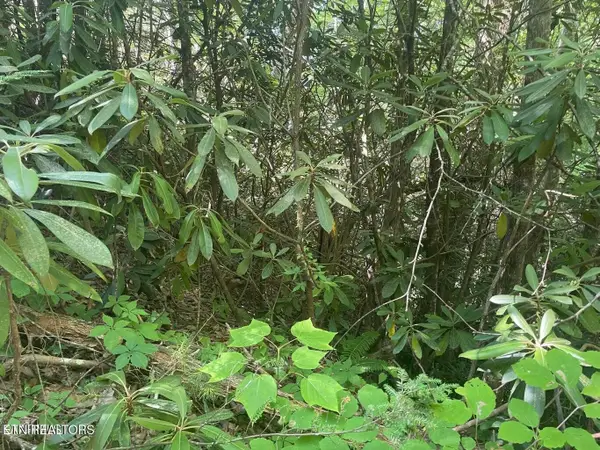89 Sycamore St, Sevierville, TN 37876