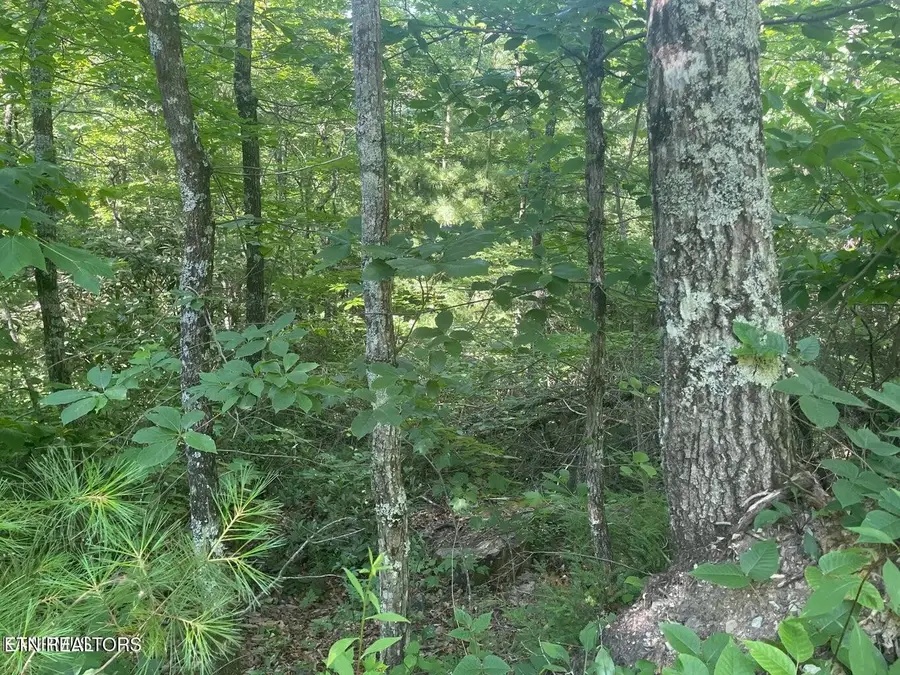 89 Sycamore St, Sevierville, TN 37876 - #2