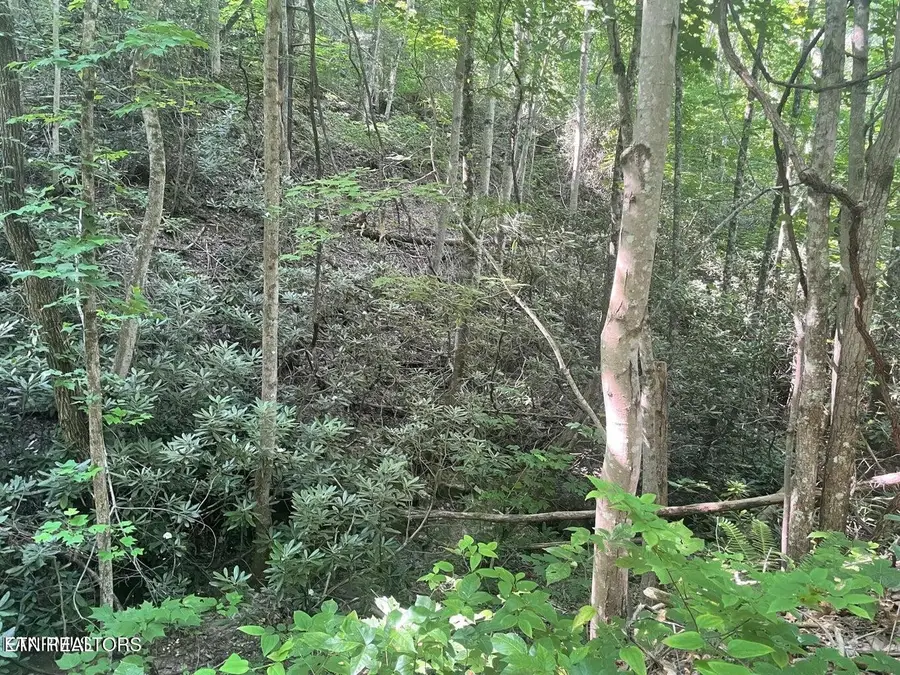 71 Hazelnut Lane, Sevierville, TN 37876 - #3